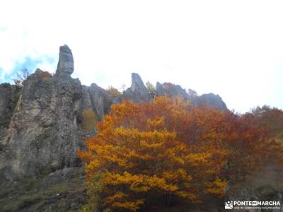 Parque Natural Babia y Luna; Tierra de Pastores Trashumantes; viajes atapuerca acebos calas cabo de 
